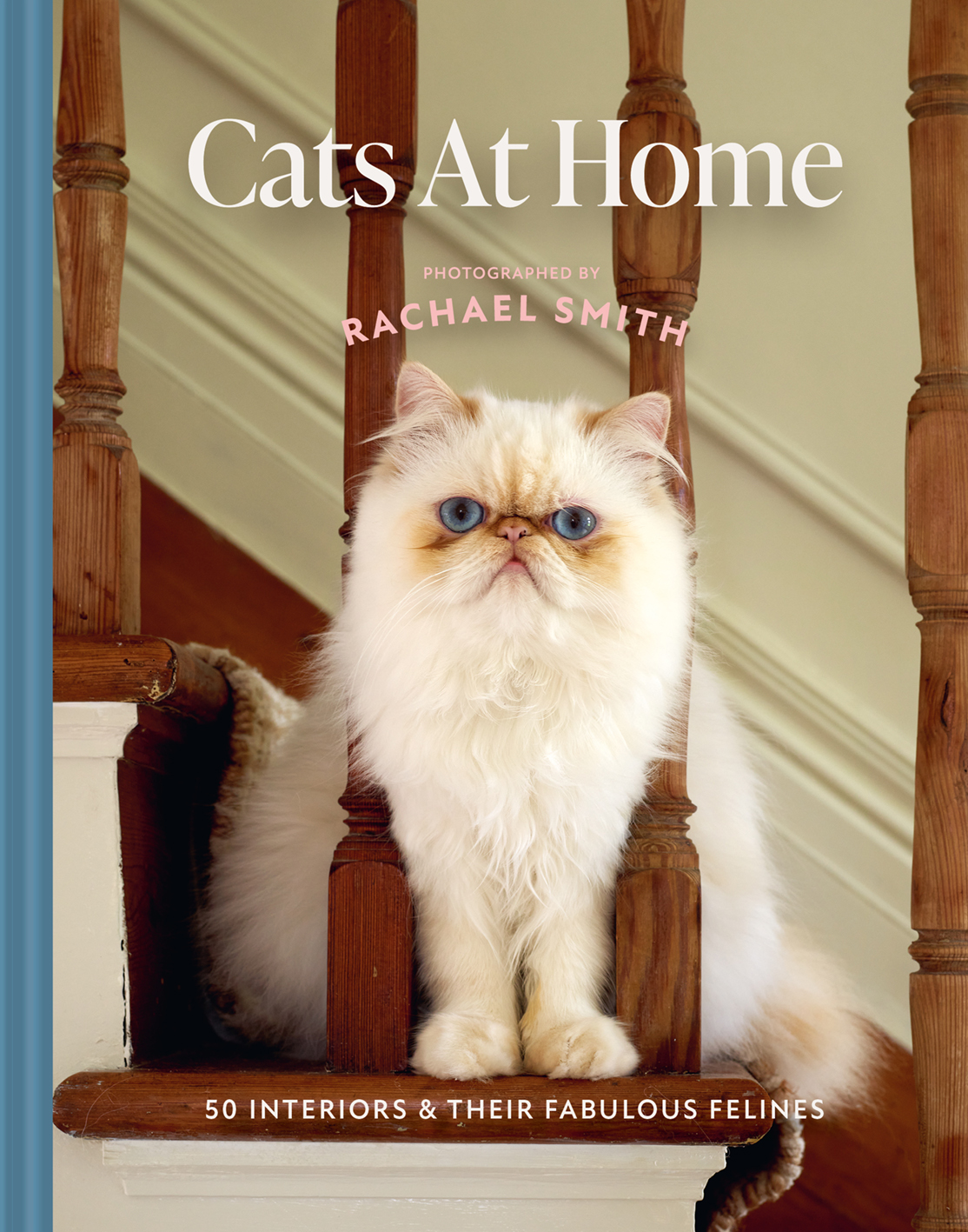 Cats at Home