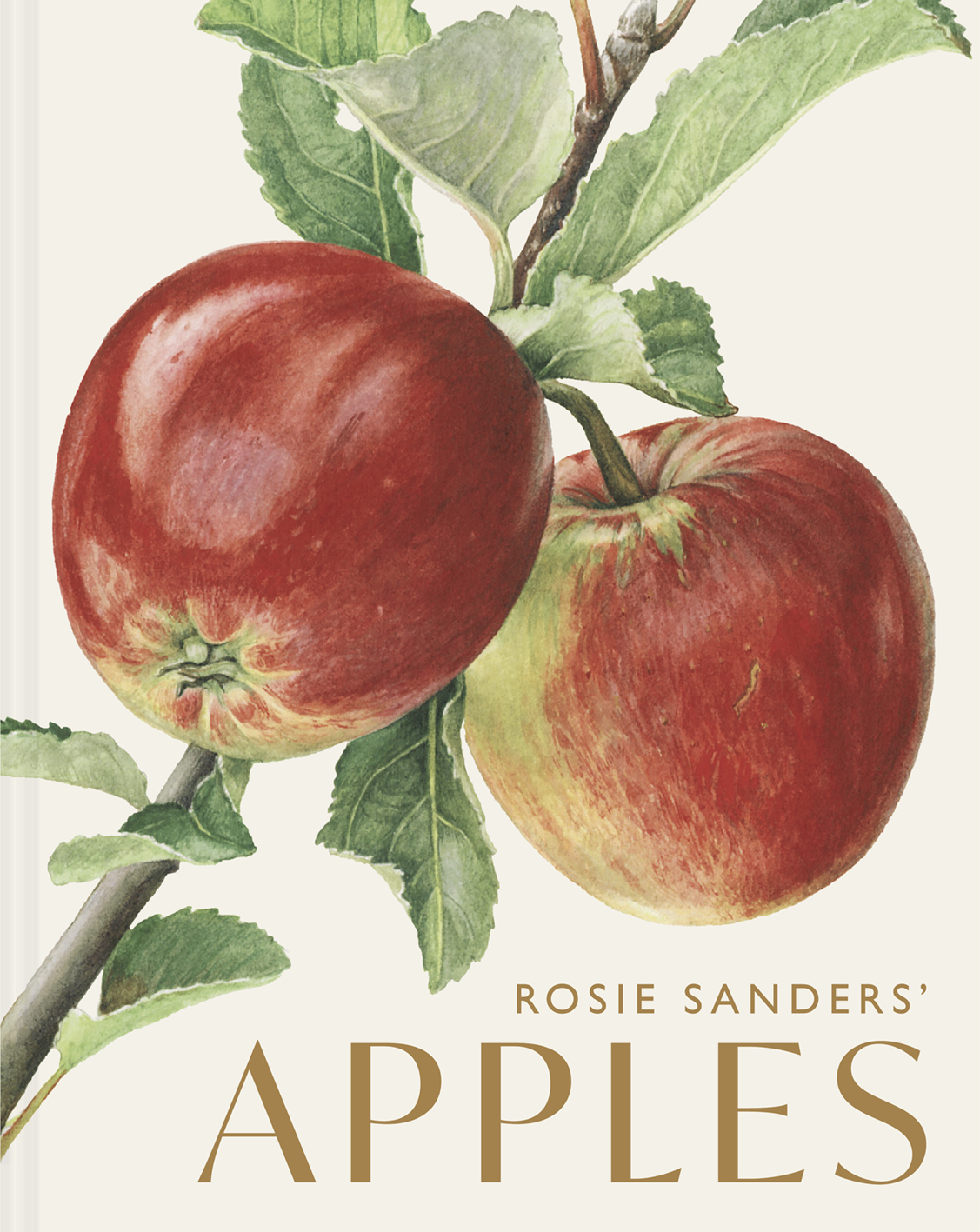 Rosie Sanders’ Apples